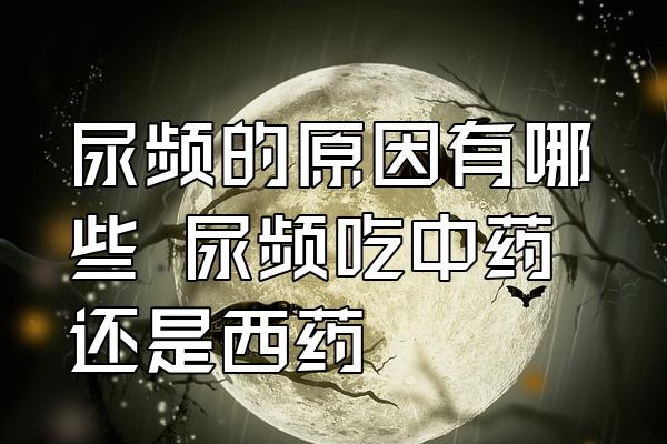 速出稿测试标题1678242701.8037212