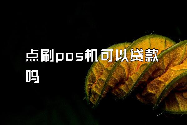 点刷pos机可以贷款吗
