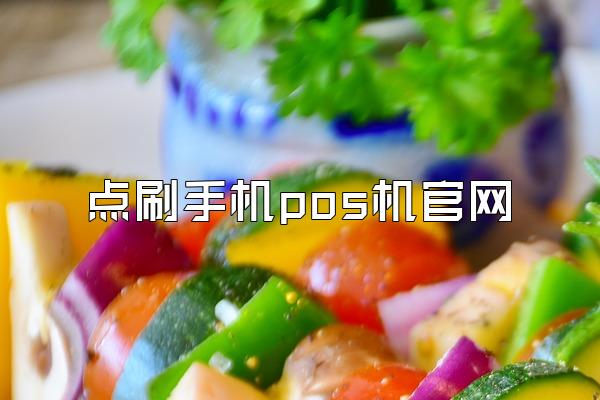 点刷手机pos机官网