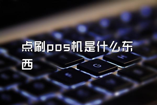 点刷pos机是什么东西