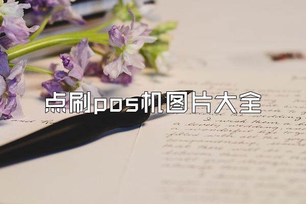 点刷pos机图片大全