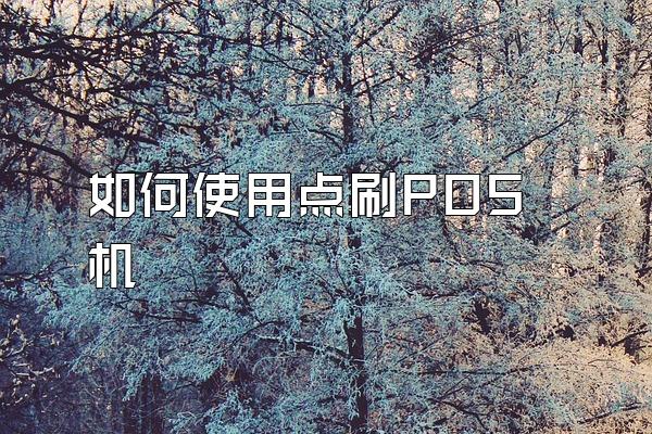 如何使用点刷POS机