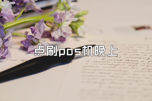 点刷pos机晚上