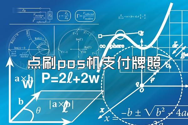 点刷pos机支付牌照