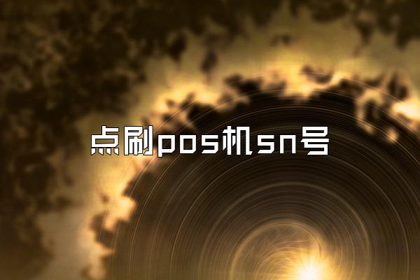 点刷pos机sn号