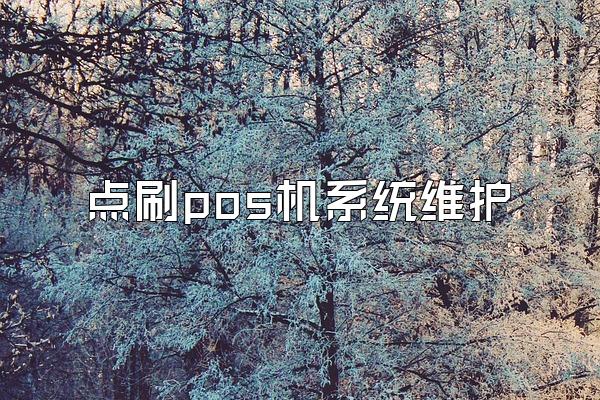 点刷pos机系统维护
