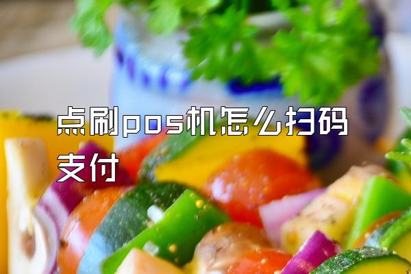 点刷pos机怎么扫码支付