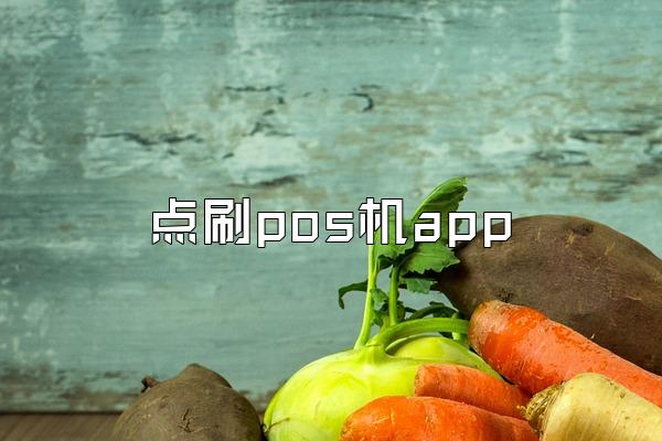 点刷pos机app