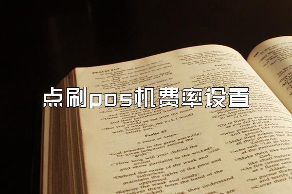 点刷pos机费率设置