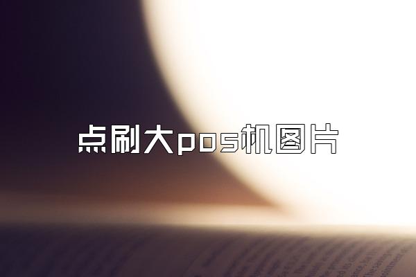 点刷大pos机图片