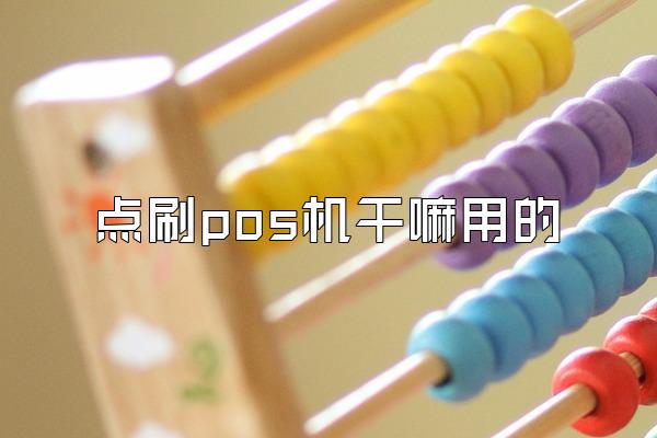 点刷pos机干嘛用的