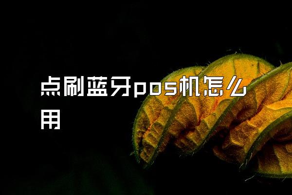 点刷蓝牙pos机怎么用