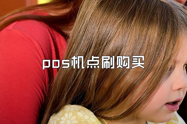 pos机点刷购买