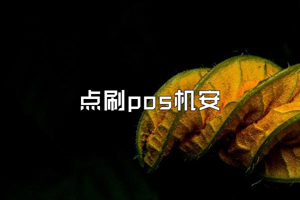 点刷pos机安