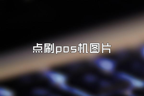 点刷pos机图片