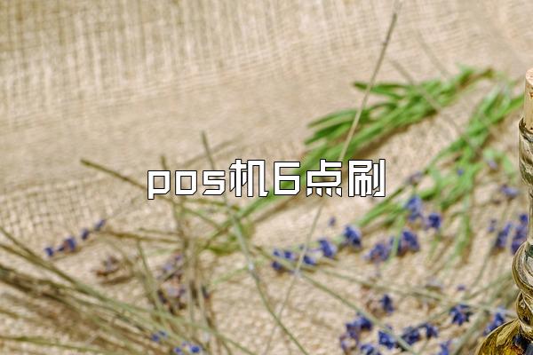 pos机6点刷