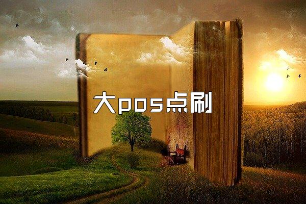 大pos点刷